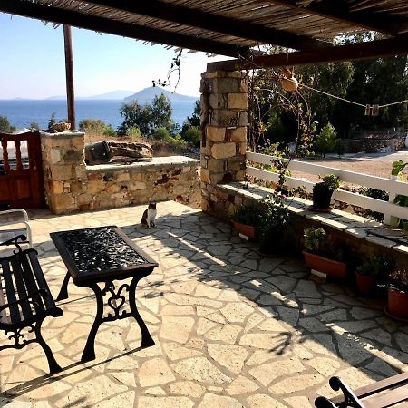 Chris House Βίλα Σάψιλα Εξωτερικό φωτογραφία