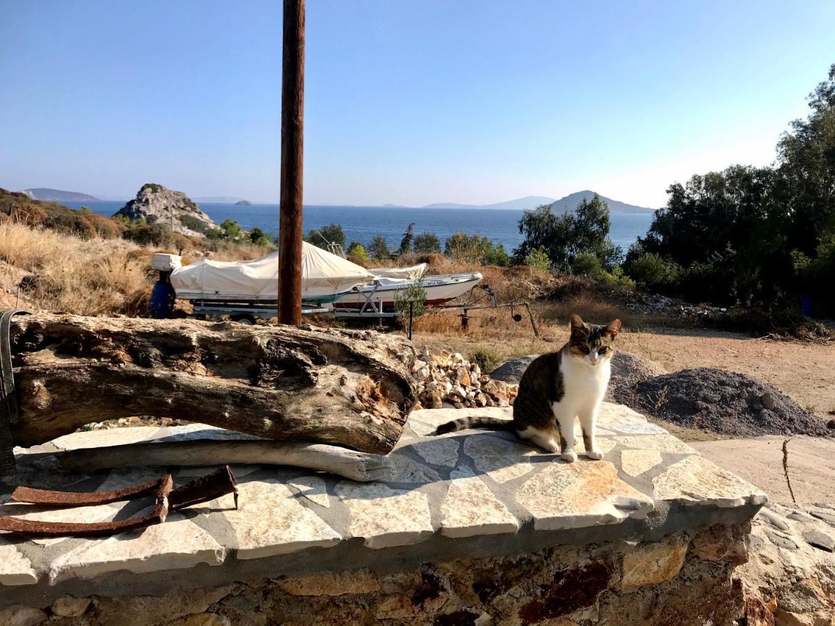 Chris House Βίλα Σάψιλα Εξωτερικό φωτογραφία